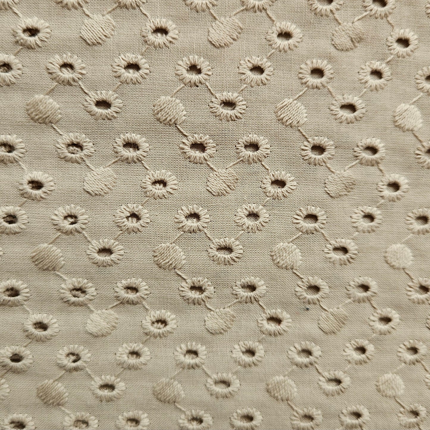 Broderie Anglaise Cotton in Beige