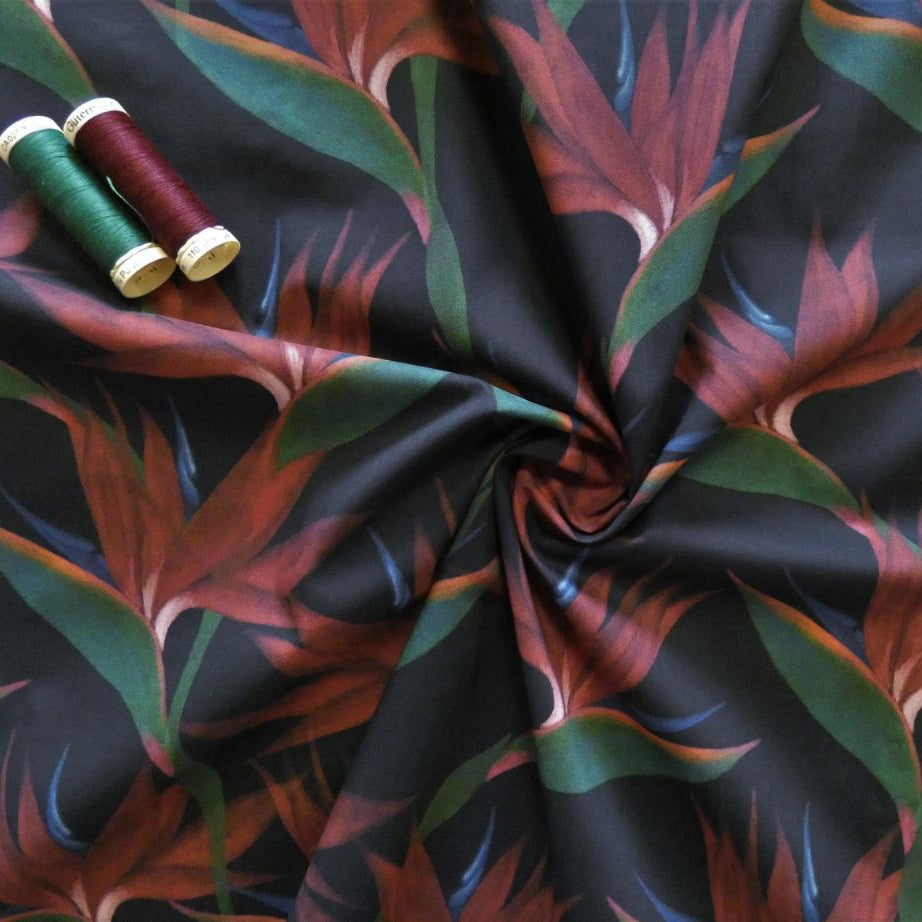 Lady McElroy Paradise Botanics Cotton Lawn in Burgundy and Black