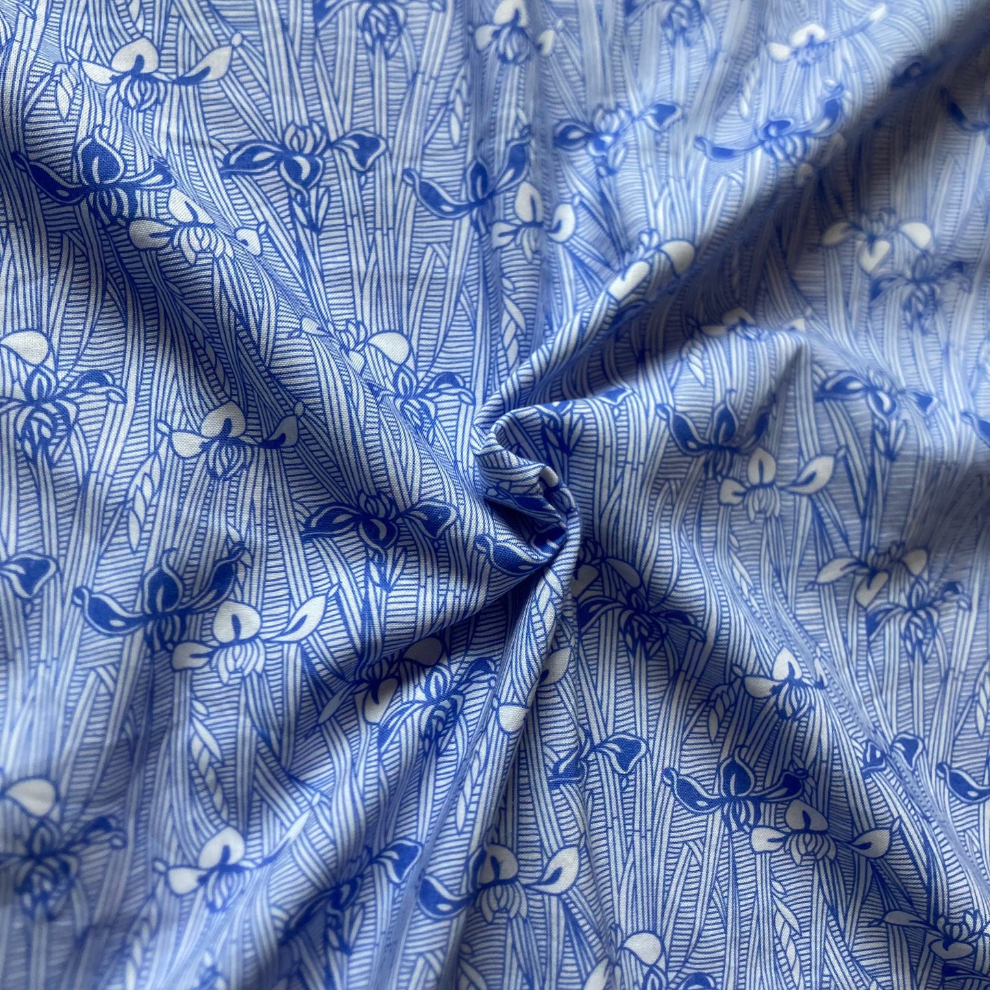 Victoria and Albert Museum Iris Line Drawings Cotton in Blue and White