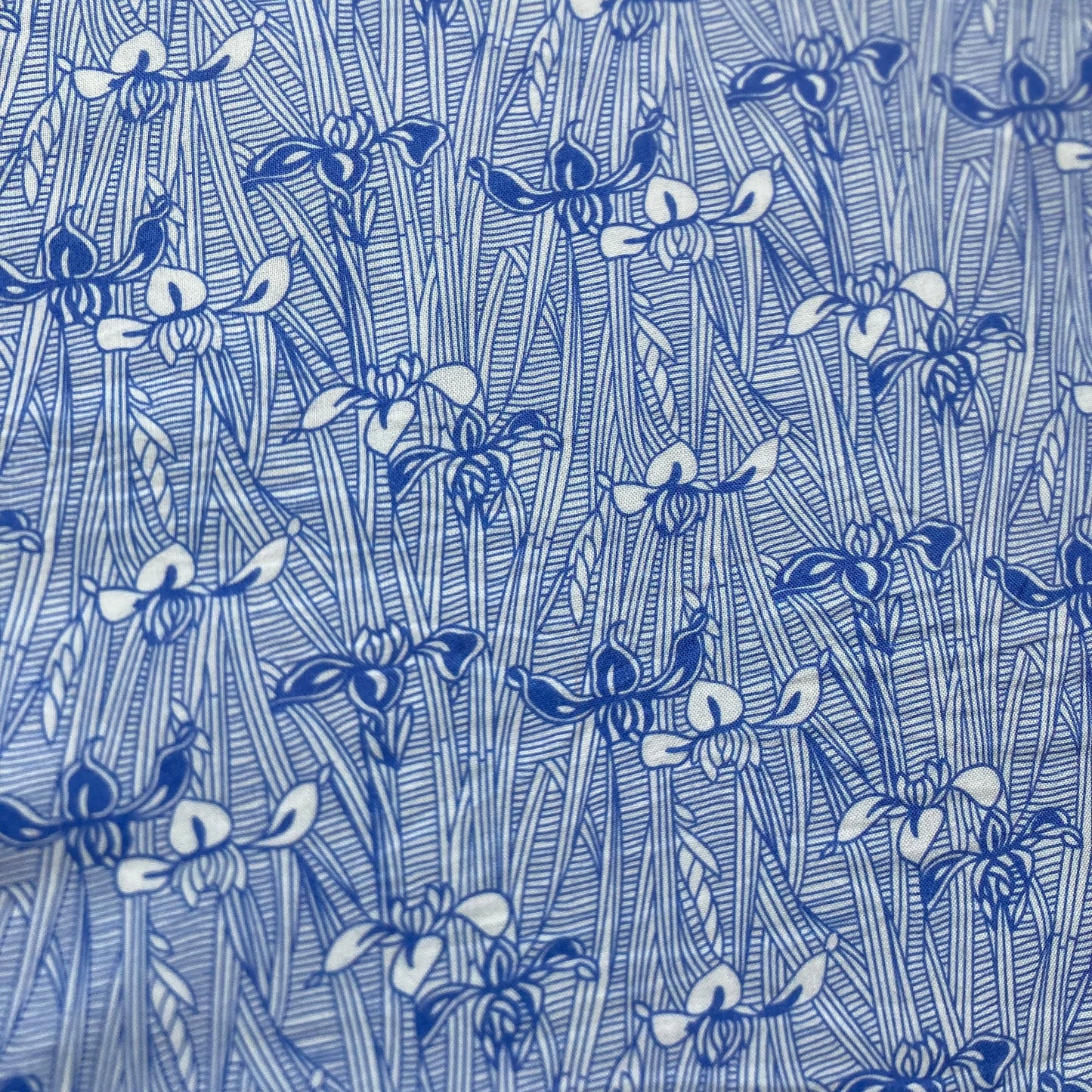 Victoria and Albert Museum Iris Line Drawings Cotton in Blue and White