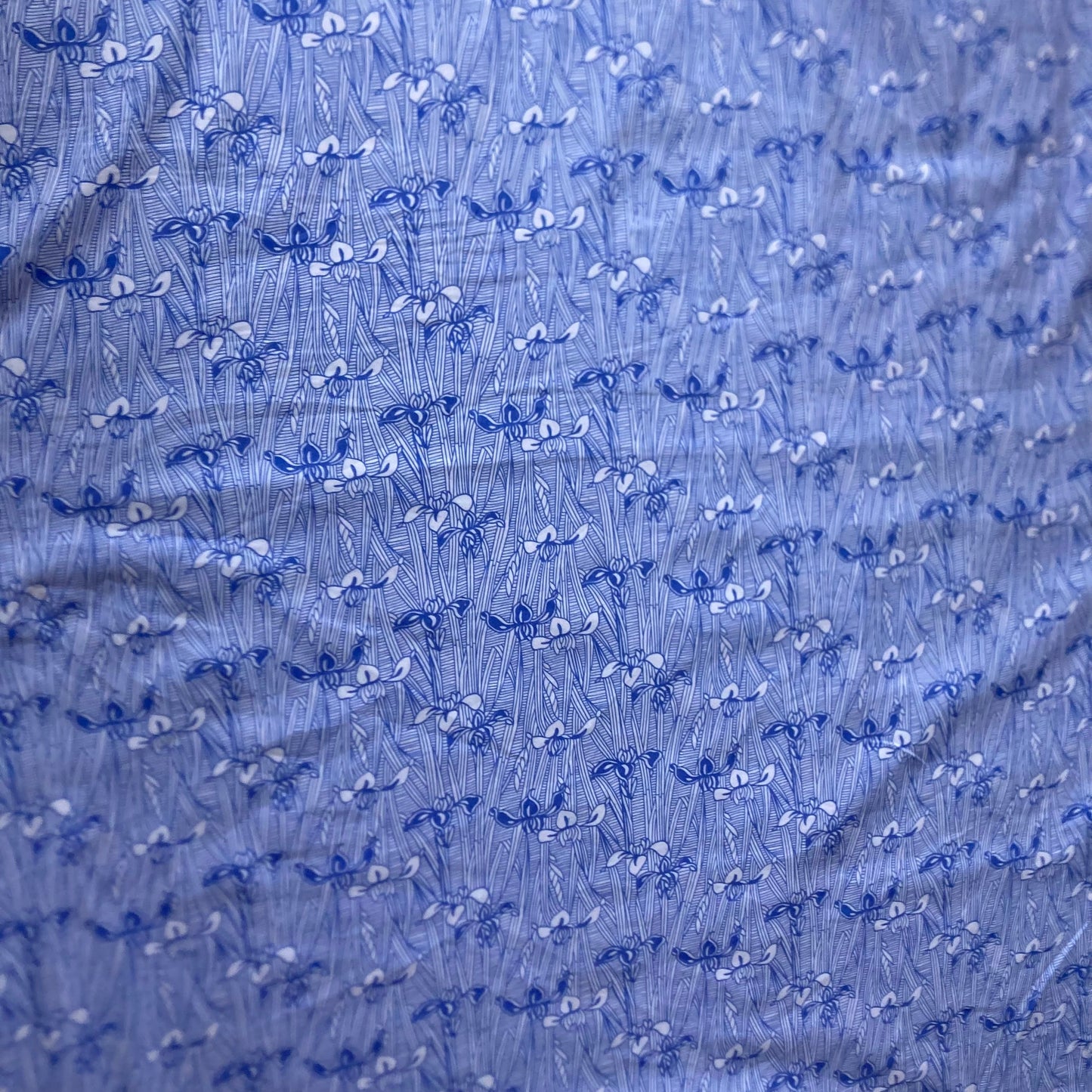 Victoria and Albert Museum Iris Line Drawings Cotton in Blue and White