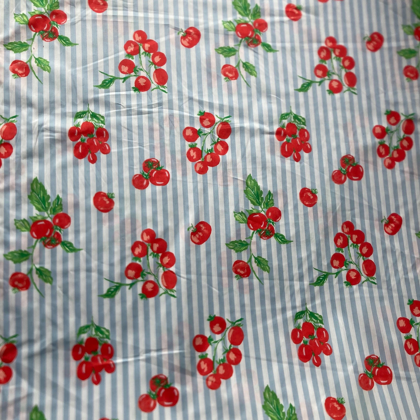 Tomatoes on Stripes Cotton in Red Blue and White