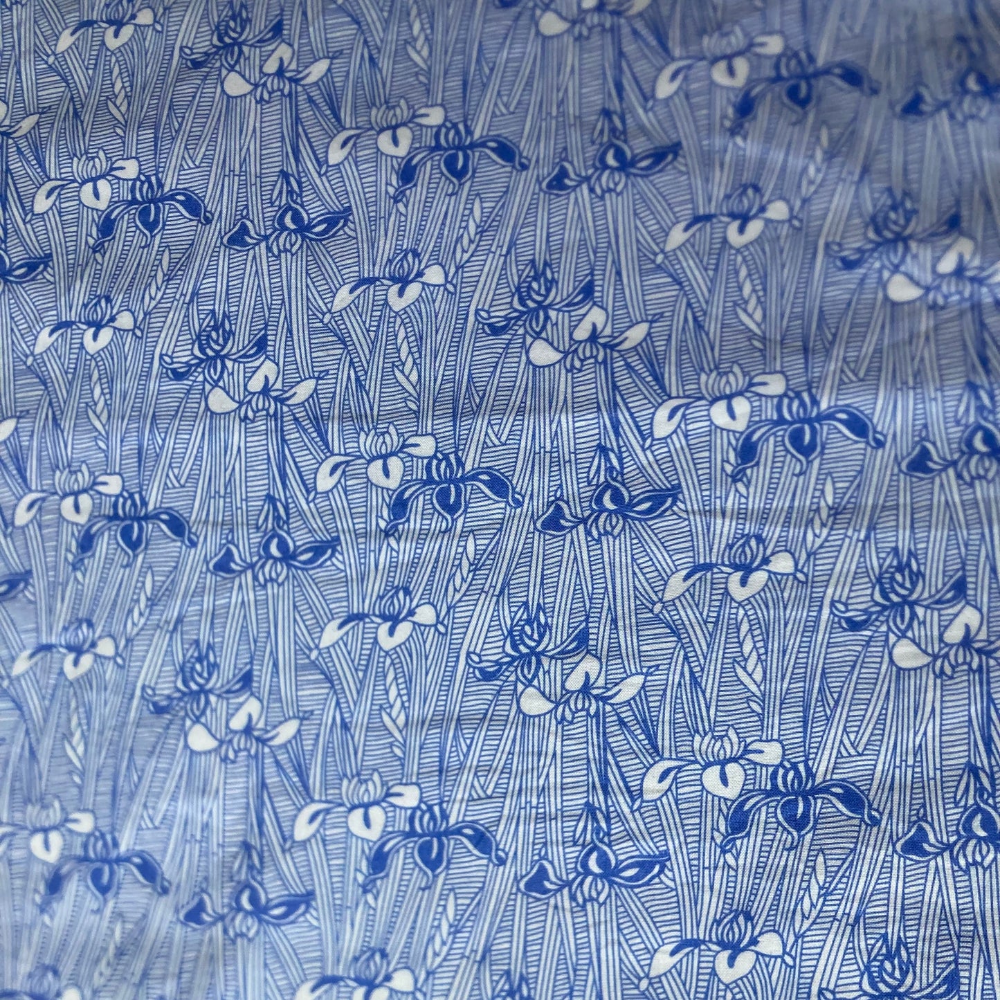 Victoria and Albert Museum Iris Line Drawings Cotton in Blue and White