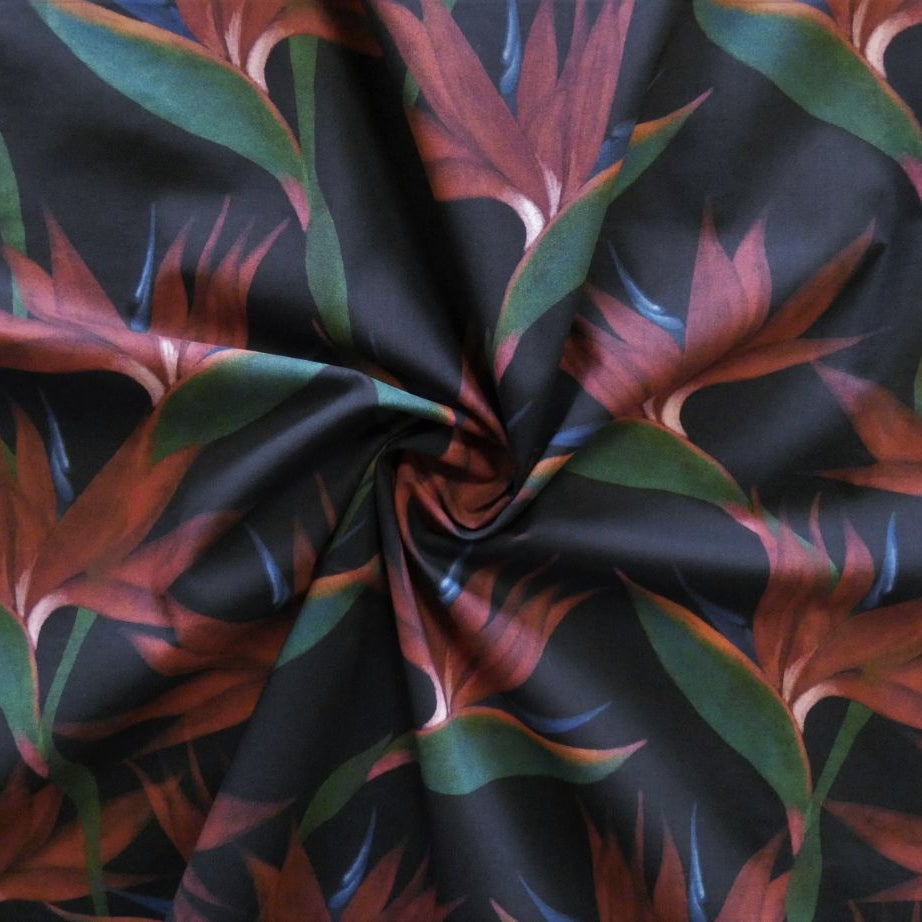Lady McElroy Paradise Botanics Cotton Lawn in Burgundy and Black