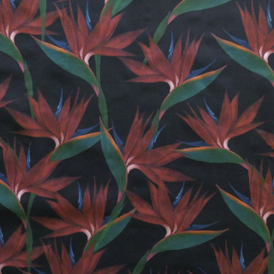 Lady McElroy Paradise Botanics Cotton Lawn in Burgundy and Black